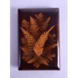 A LATE VICTORIAN LACQUERED PRESS FERN CARD CASE decorated with naturalistic sprays. 7.75 cm x 11.5