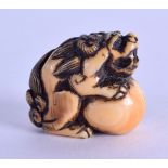 AN 18TH CENTURY JAPANESE EDO PERIOD CARVED IVORY NETSUKE modelled as a shi shi dog upon a ball. 2.