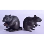 A PAIR OF 19TH CENTURY JAPANESE MEIJI PERIOD BRONZE OKIMONO modelled as mice clutching nuts. 8.5