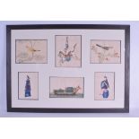 A FRAMED SET OF SIX 19TH CENTURY CHINESE PITH PAPER WATER COLOURS of various designs and sizes.