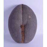 A GOOD LARGE COCOA DE MER NUT of naturalistic form. 22 cm x 33 cm.