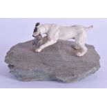 AN EARLY 20TH CENTURY AUSTRIAN COLD PAINTED BRONZE PAPERWEIGHT in the form of a standing hound