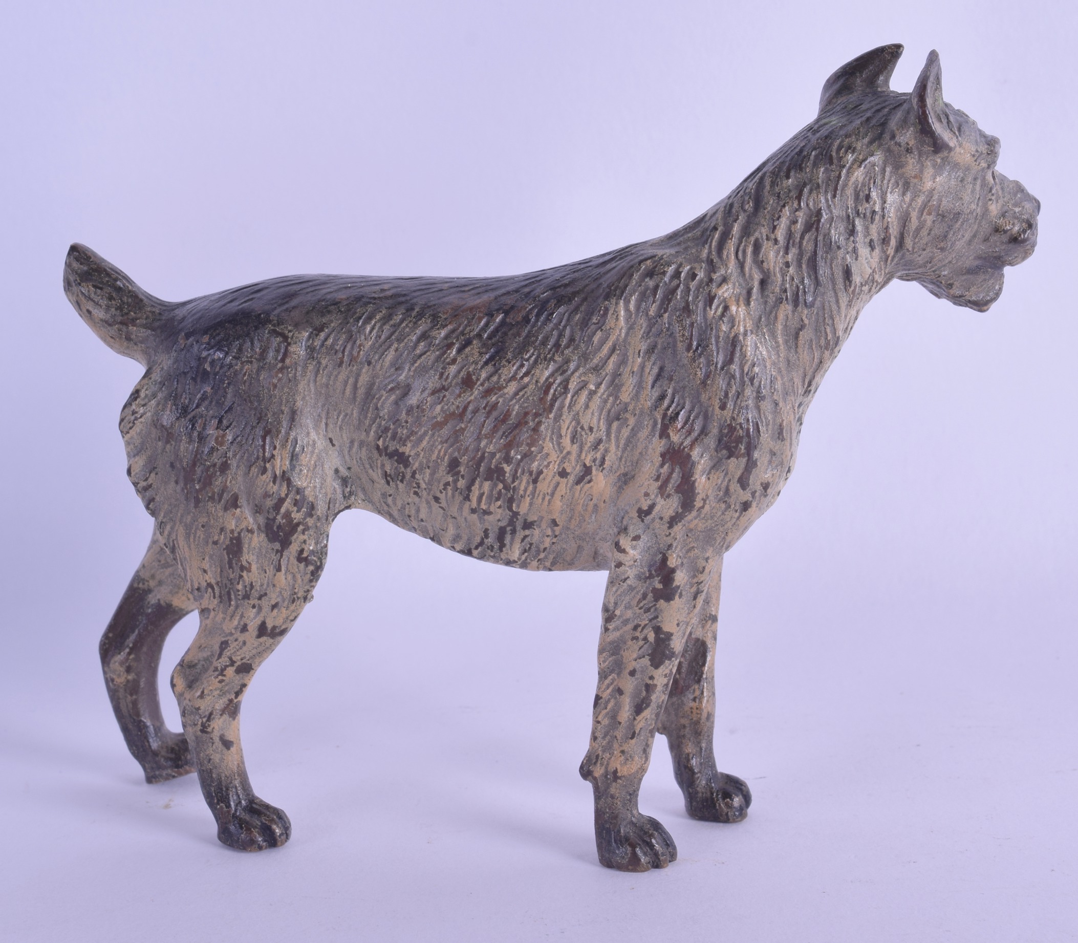 A LATE 19TH CENTURY AUSTRIAN COLD PAINTED BRONZE FIGURE OF A SCHNAUZER modelled standing upon all - Image 2 of 3