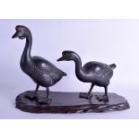 A PAIR OF 19TH CENTURY JAPANESE MEIJI PERIOD BRONZE BIRDS modelled in opposing stances upon a