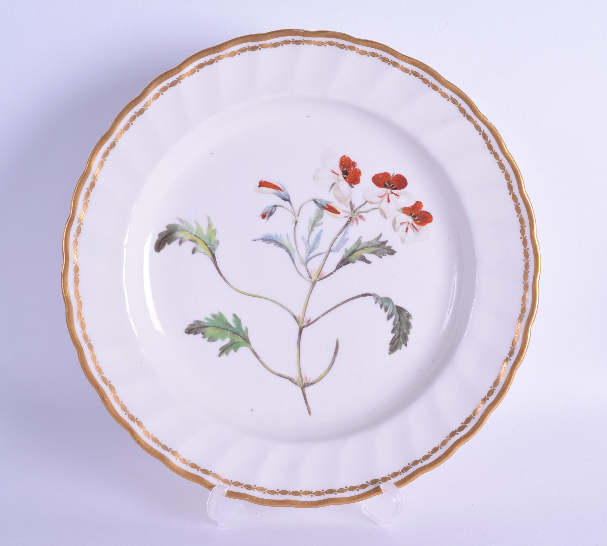 Late 18th c. Derby plate painted with a botanical study entitled 'Pelargonium Tricolour' 'The -
