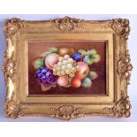 19th c. English porcelain plaque finely painted with fruit, probably Derby painted by Thomas Steele.