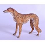 A LATE 19TH CENTURY AUSTRIAN COLD PAINTED BRONZE FIGURE OF A BORZOI modelled in a roaming stance.