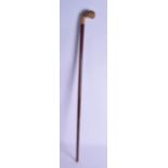 A 19TH CENTURY CARVED RHINOCEROS HORN HANDLED WALKING CANE with turned wooden shaft. 85 cm long.