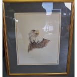DON CORDERY A LIMITED EDITION ARTIST PROOF PRINT, "Bald Eagle". 43 cm x 33 cm.