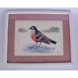 MARY FEDDEN (1915-2012), framed watercolour, signed and dated 1991, study of bird. CM X CM.