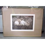 MOLLY DICKER (British), framed etching, signed and dated 1984, a recumbent cat. 21 cm x 28 cm.