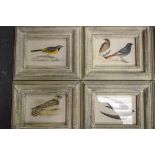 A SET OF TWELVE COLOURED PRINTS, each depicting birds. 12 cm x 17 cm.