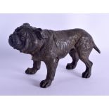 A GOOD 19TH CENTURY VIENNA COLD PAINTED BRONZE FIGURE OF A DOG Attributed to Franz Xavier
