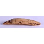 A 19TH CENTURY CONTINENTAL CARVED IVORY SALAMANDER possibly a fishing lure. 10 cm long.