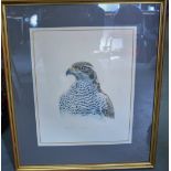 DON CORDERY A LIMITED EDITION ARTIST PROOF PRINT, "Goss Hawk". 42 cm x 34 cm.