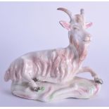 18th c. English porcelain model of a goat reclining on a scroll moulded base, probably Derby. 11cm