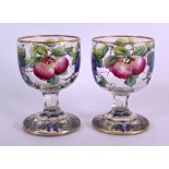 A GOOD PAIR OF MID 19TH CENTURY EUROPEAN GLASS GOBLETS unusually enamelled with fruiting vines and