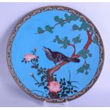 A LATE 19TH CENTURY JAPANESE MEIJI PERIOD CLOISONNE ENAMEL DISH decorated with a bird perched