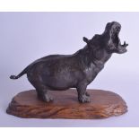 AN UNUSUAL 19TH CENTURY JAPANESE MEIJI PERIOD BRONZE OKIMONO modelled as a roaring hippo. Bronze