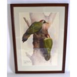 WESTLEY HORTON (British), framed watercolour, green woodpecker on a tree, bearing inscription. 47 cm