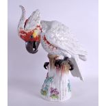 A LATE 19TH CENTURY MEISSEN PORCELAIN MODEL OF A COCKATOO Kakadu, model number 1778, modelled