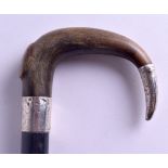 A LATE VICTORIAN/EDWARDIAN CARVED RHINOCEROS HORN WALKING CANE with engraved silver mounts. 90 cm