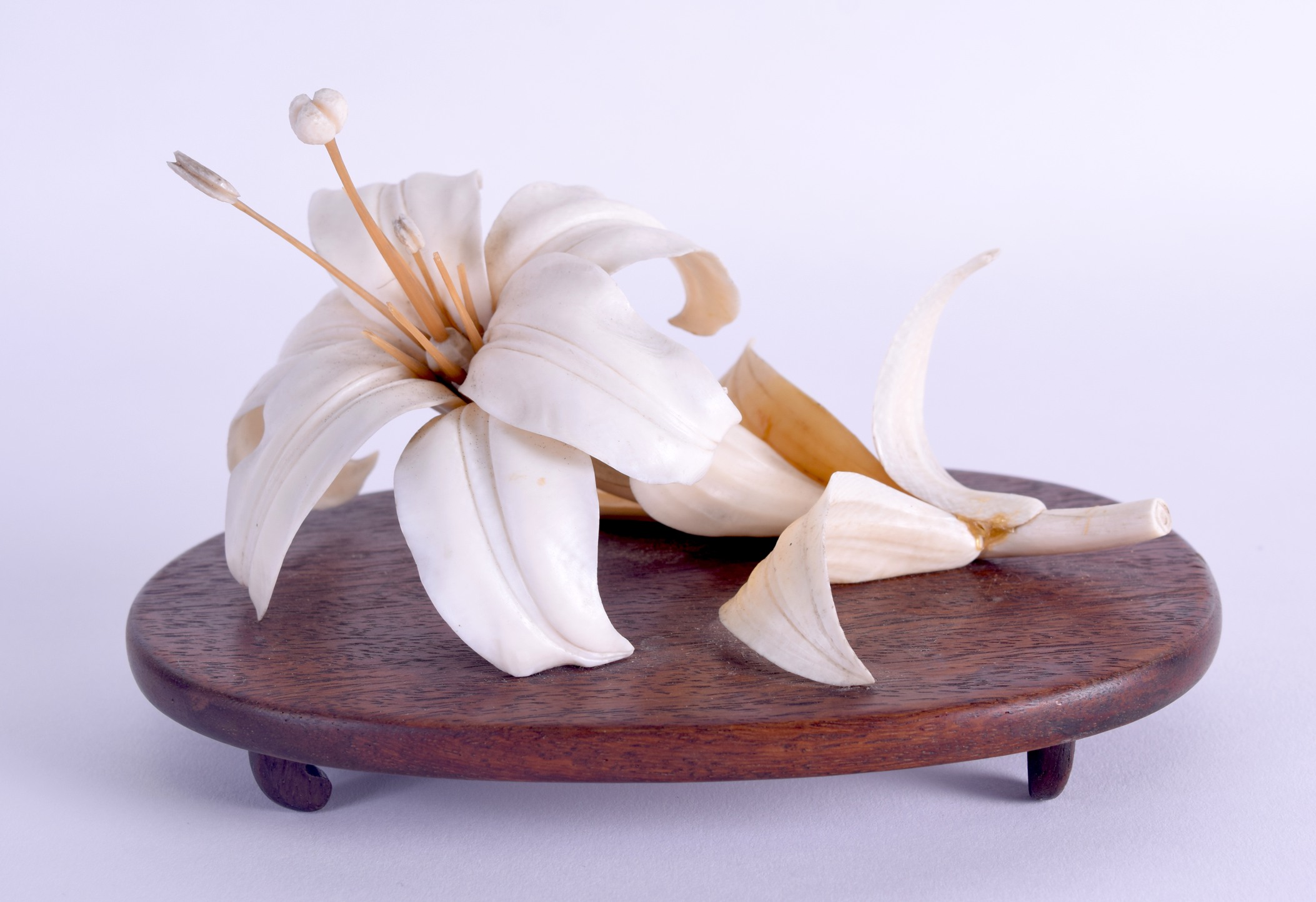 A 19TH CENTURY JAPANESE MEIJI PERIOD POLYCHROMED IVORY OKIMONO modelled as a naturalistic floral