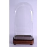 A LATE VICTORIAN ROSEWOOD GLASS DOMED CLOCK DISPLAY CASE. 27 cm x 53 cm.