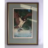 JAPANESE SCHOOL (Early 20th century), framed watercolour, a bird of prey in flight plucking a fish