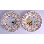 Early 20th c. Coalport pair of plates painted with a named bird either ‘Lapwing’ or ‘Woodcock’ under