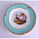 19th c. Coalport fine “union” shaped plate painted with fine birds under turquoise probably by