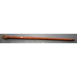 AN EARLY 20TH CENTURY ANTLER HANDLED WALKING CANE,, of naturalistic form. 86 cm long.