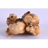 A GOOD 19TH CENTURY JAPANESE MEIJI PERIOD CARVED IVORY NETSUKE in the form five rats in various