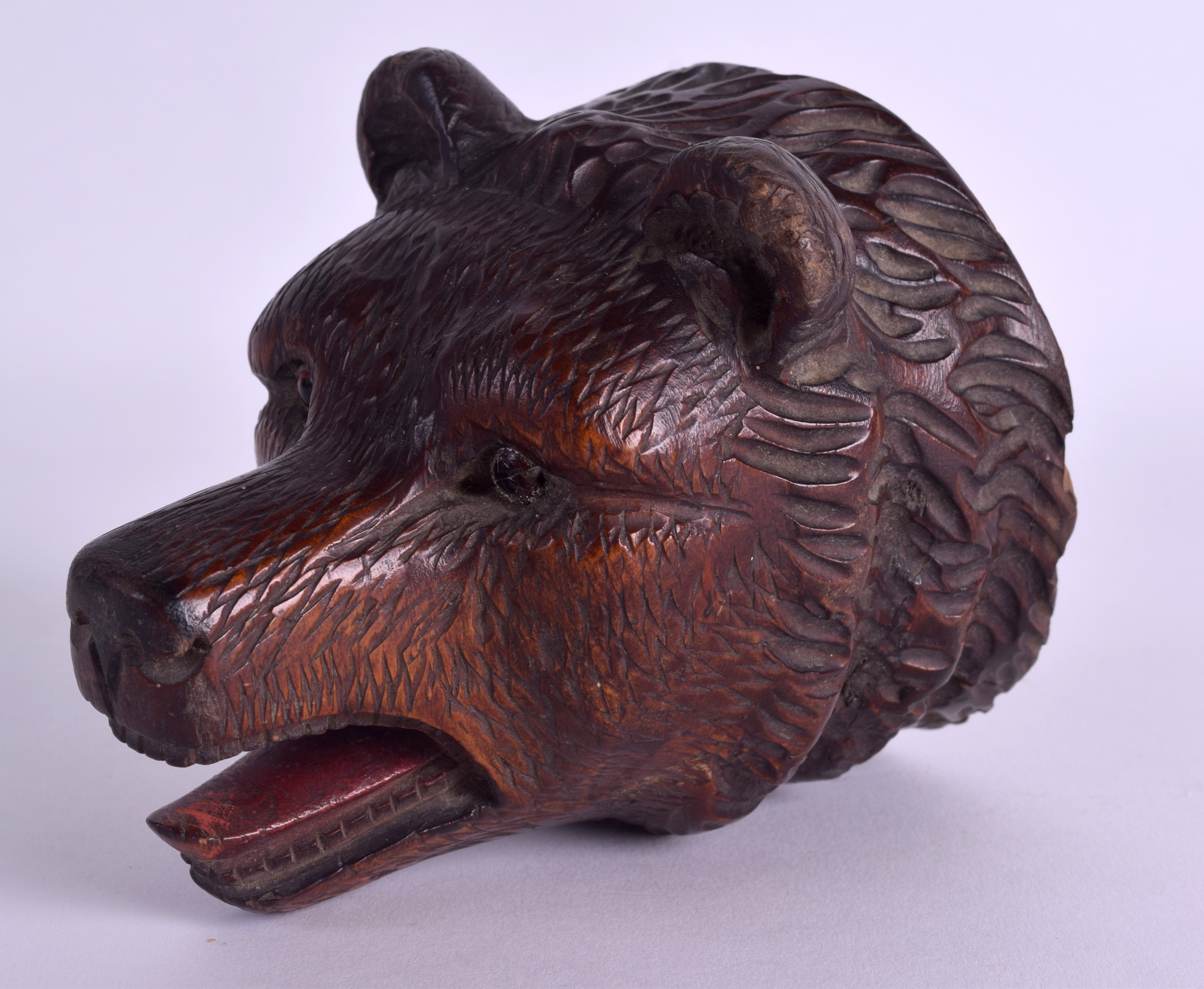 A LATE 19TH CENTURY BAVARIAN BLACK FOREST CARVED BEAR WALL PLAQUE possibly a pocket watch hanging - Image 4 of 5