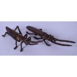 A JAPANESE TASIHO PERIOD BRONZE GRASS HOPPER, together with a beetle. 12.5 cm and 11.5 cm.