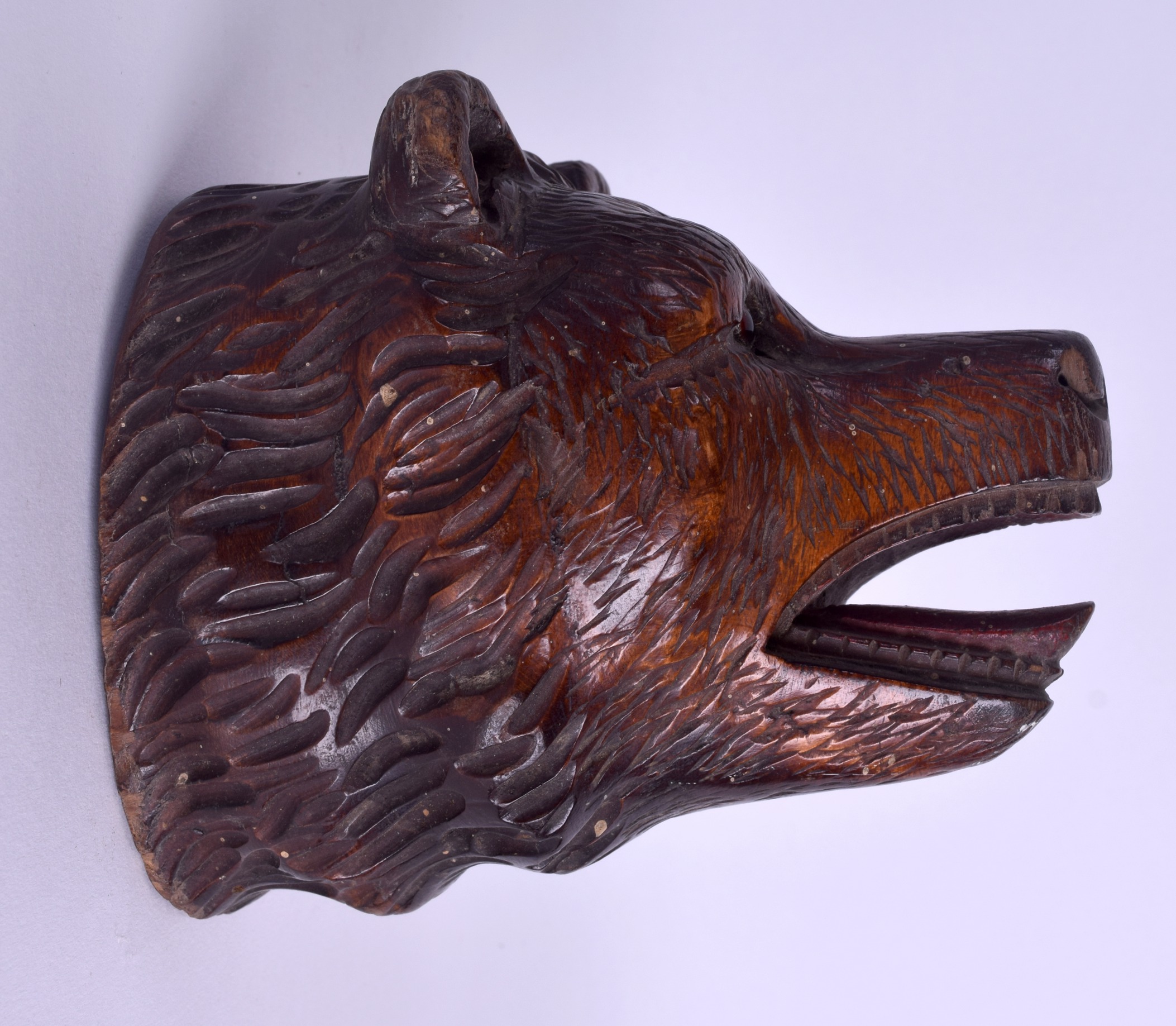 A LATE 19TH CENTURY BAVARIAN BLACK FOREST CARVED BEAR WALL PLAQUE possibly a pocket watch hanging - Image 3 of 5