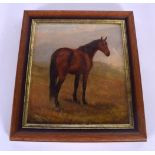 MANNER OF LOADER (19th Century), framed oil on board, a horse in a landscape, indistinctly signed.