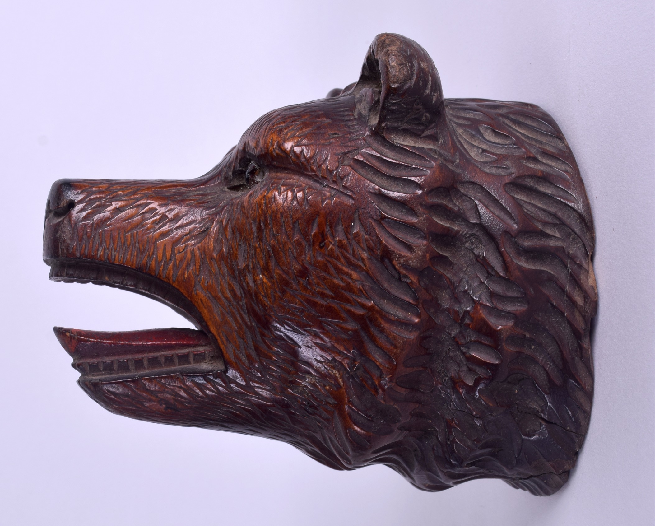 A LATE 19TH CENTURY BAVARIAN BLACK FOREST CARVED BEAR WALL PLAQUE possibly a pocket watch hanging - Image 2 of 5