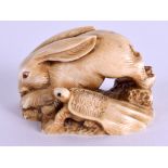 A FINE 19TH CENTURY JAPANESE MEIJI PERIOD CARVED IVORY NETSUKE in the form of a hare and minogame. 4