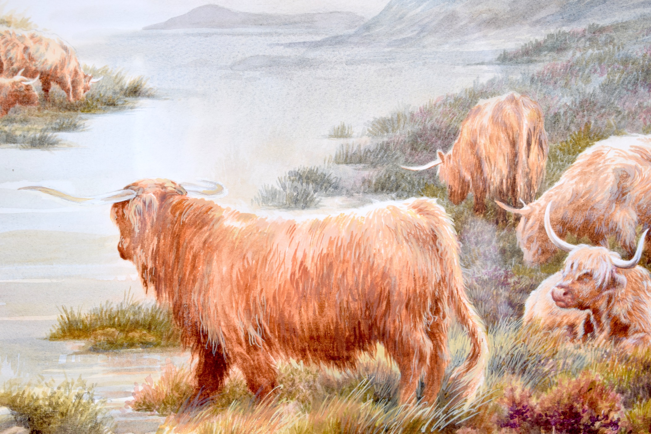 HEATHER M INSH, framed watercolour, cattle in a highland landscape, signed. 35 cm x 52 cm. - Image 2 of 3