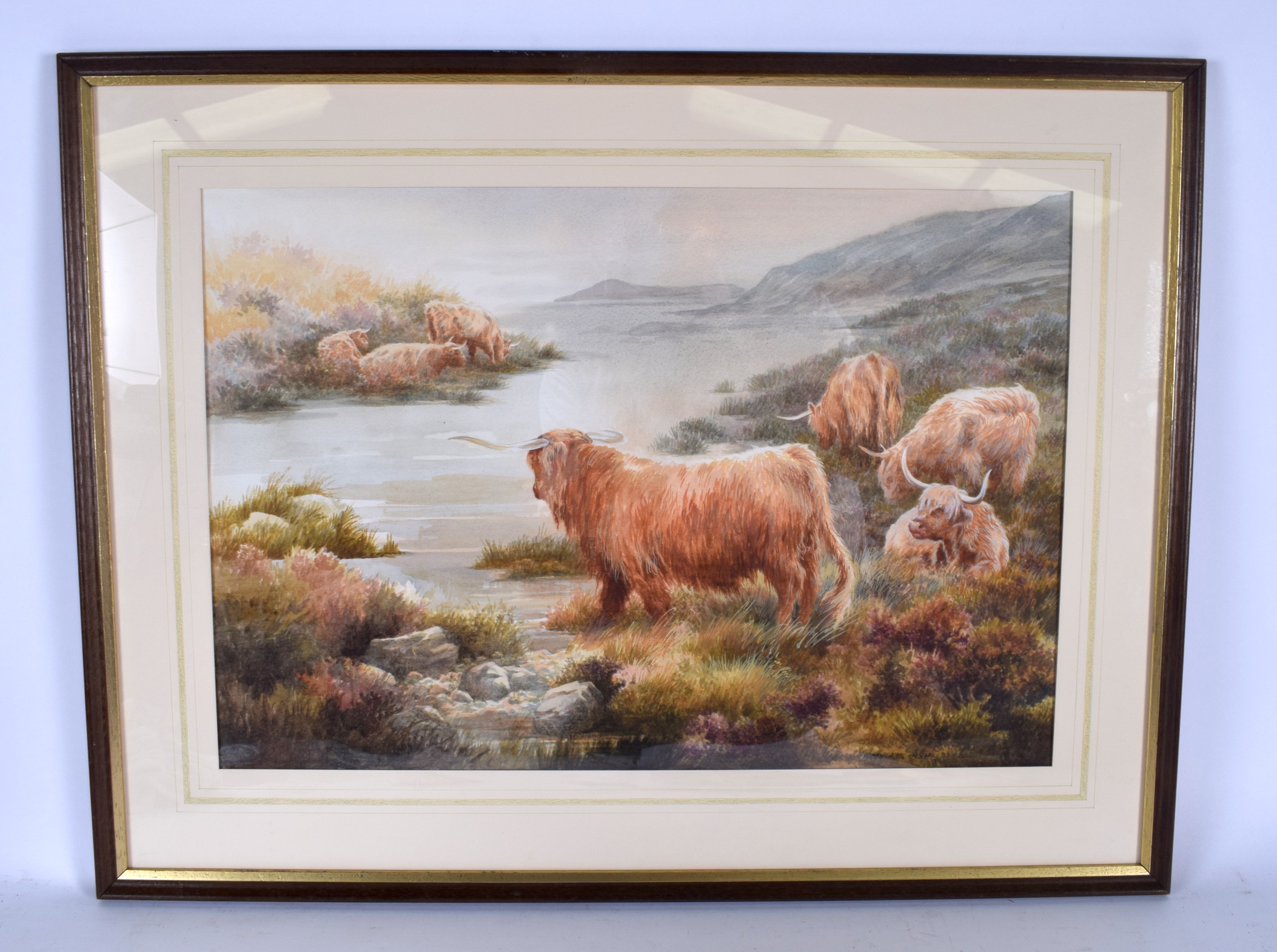 HEATHER M INSH, framed watercolour, cattle in a highland landscape, signed. 35 cm x 52 cm.