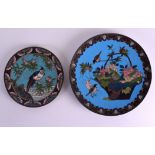 A 19TH CENTURY JAPANESE MEIJI PERIOD CLOISONNE ENAMEL DISH decorated with birds, together with a