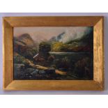 JAMES C (British), framed oil on canvas, signed, "Llyn Crafnant". 19 cm x 29 cm.