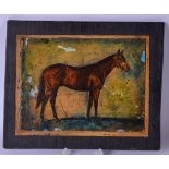 FRENCH SCHOOL, a framed print, study of a horse. 19 cm x 25 cm.