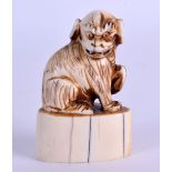 A 19TH CENTURY CHINESE CARVED IVORY SEAL Qing, in the form of a recumbent hound. 6 cm x 4 cm.