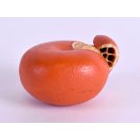A 19TH CENTURY JAPANESE MEIJI PERIOD CARVED IVORY TANGERINE formed with an open peel, of
