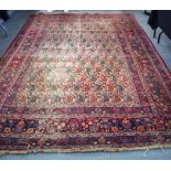 AN ANTIQUE EARLY 20TH CENTURY PERSIAN BOTEH RUG, decorated with extensive foliage. 340 cm x 222 cm.