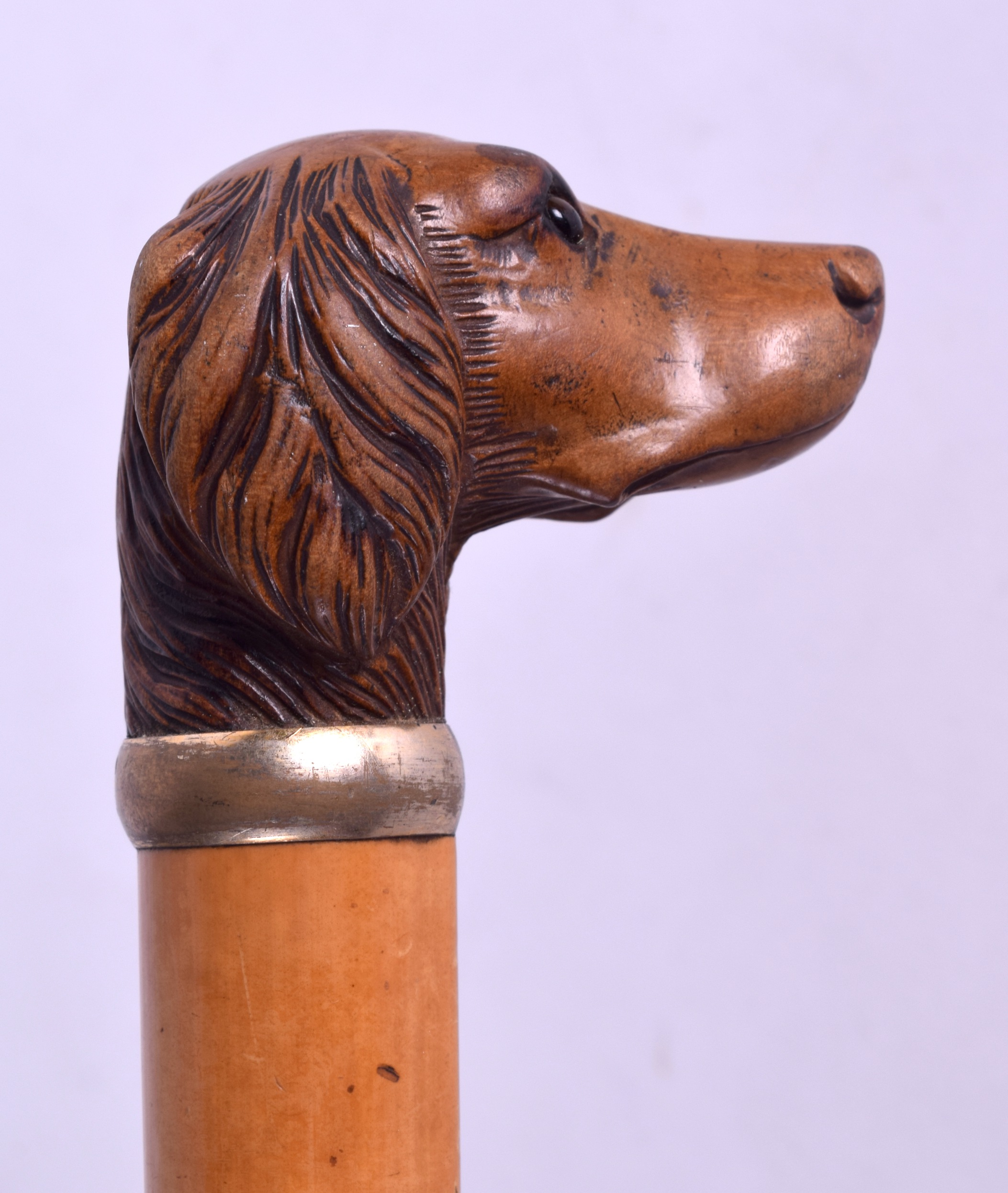 A LATE VICTORIAN CARVED WOOD DOG HEAD PARASOL with glass eyes and white metal rim. 82 cm long.