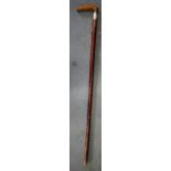 AN EARLY 20TH CENTURY RHIONCEROS HORN HANDLED WALKING CANE, with short naturalistic handle and