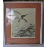 A FRAMED PRINT, depicting a bird in flight. 50 cm x 41 cm.